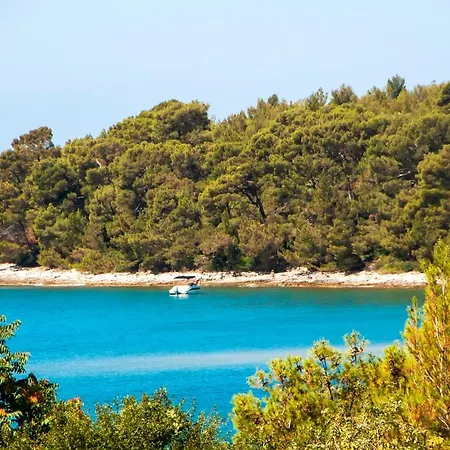 Pineta Mobile In Porton Biondi Camp